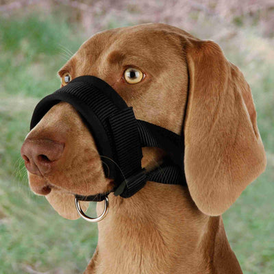 Trixie | Dog Behaviour | Soft Nylon Loop Muzzle