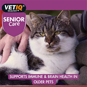 M&C Vet IQ | Senior Care Supplement For Dogs & Cats | Geriatr-UM - 45 Tablets