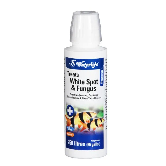 Waterlife | White Spot & Fungus Control | Protozin - 100ml