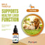 Phytopet | Natural Herbal Remedy | Milk Thistle Tincture for Liver & Gallbladder Support