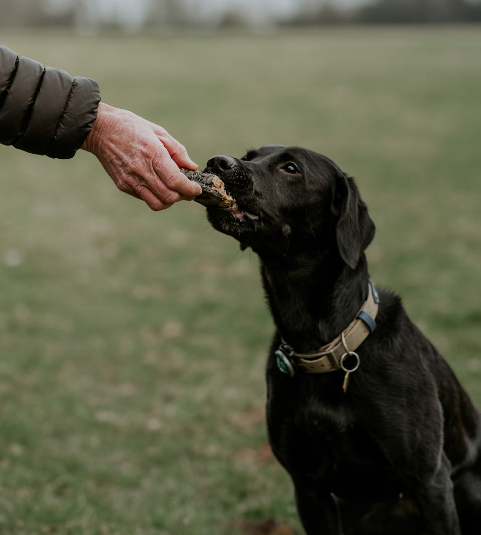 Anco Naturals | Natural Dog Treat | Bully Danglers