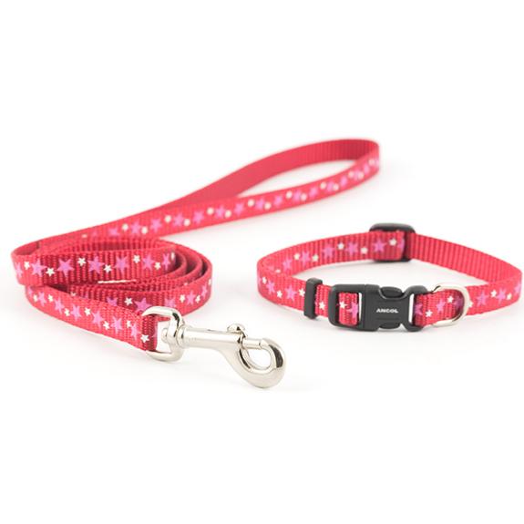 Ancol Red Nylon Reflective Puppy Collar & Lead Set