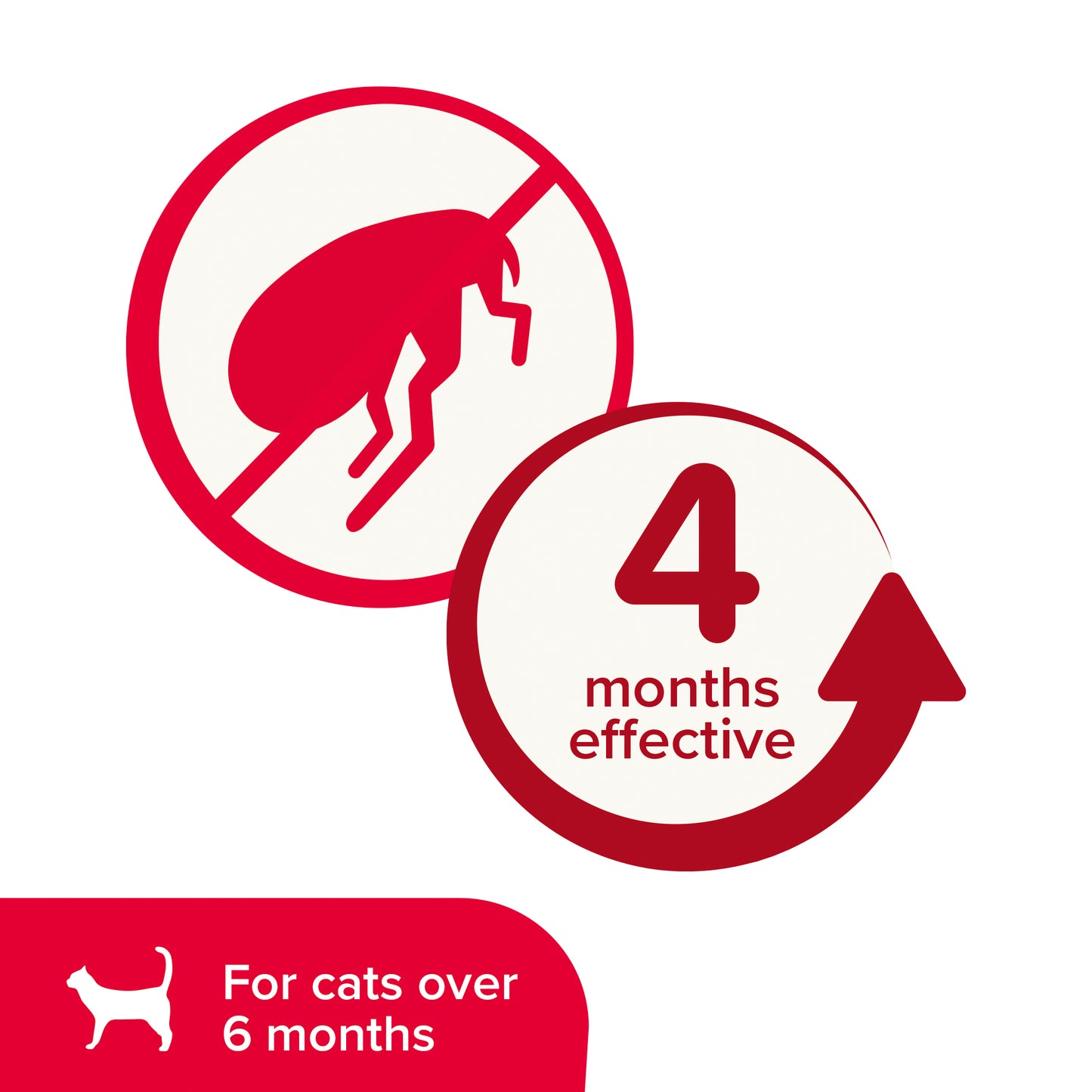 Beaphar | Cat Flea Control | Plastic Safety Collar