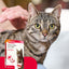 Beaphar | Cat Flea Control | Plastic Safety Collar