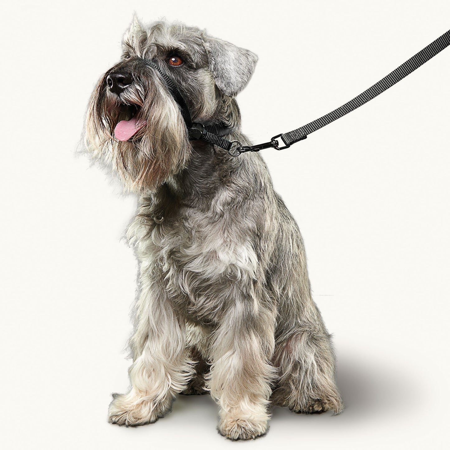 Gentle Leader | Dog Walking | No Pull Headcollar - Black