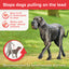 Gentle Leader | Dog Walking | No Pull Headcollar - Black