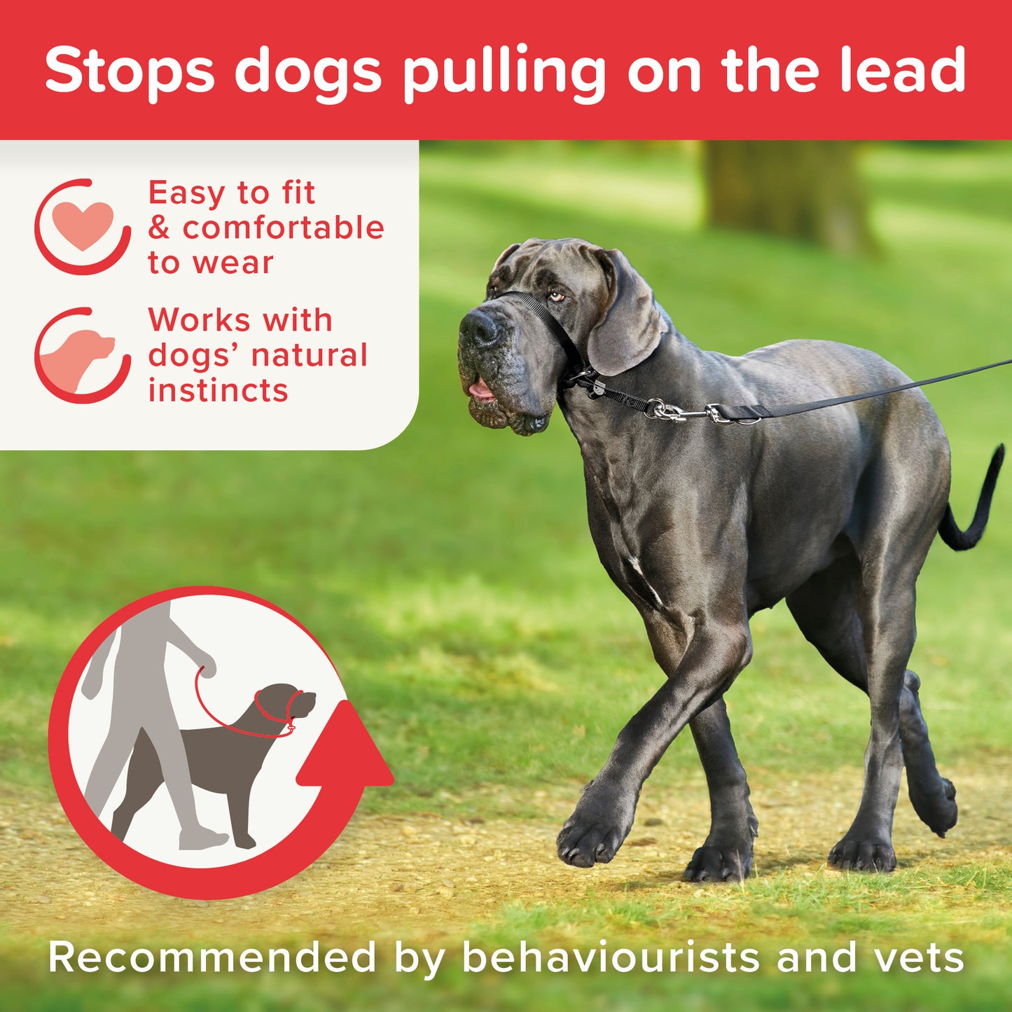 Gentle Leader | Dog Walking | No Pull Headcollar - Black