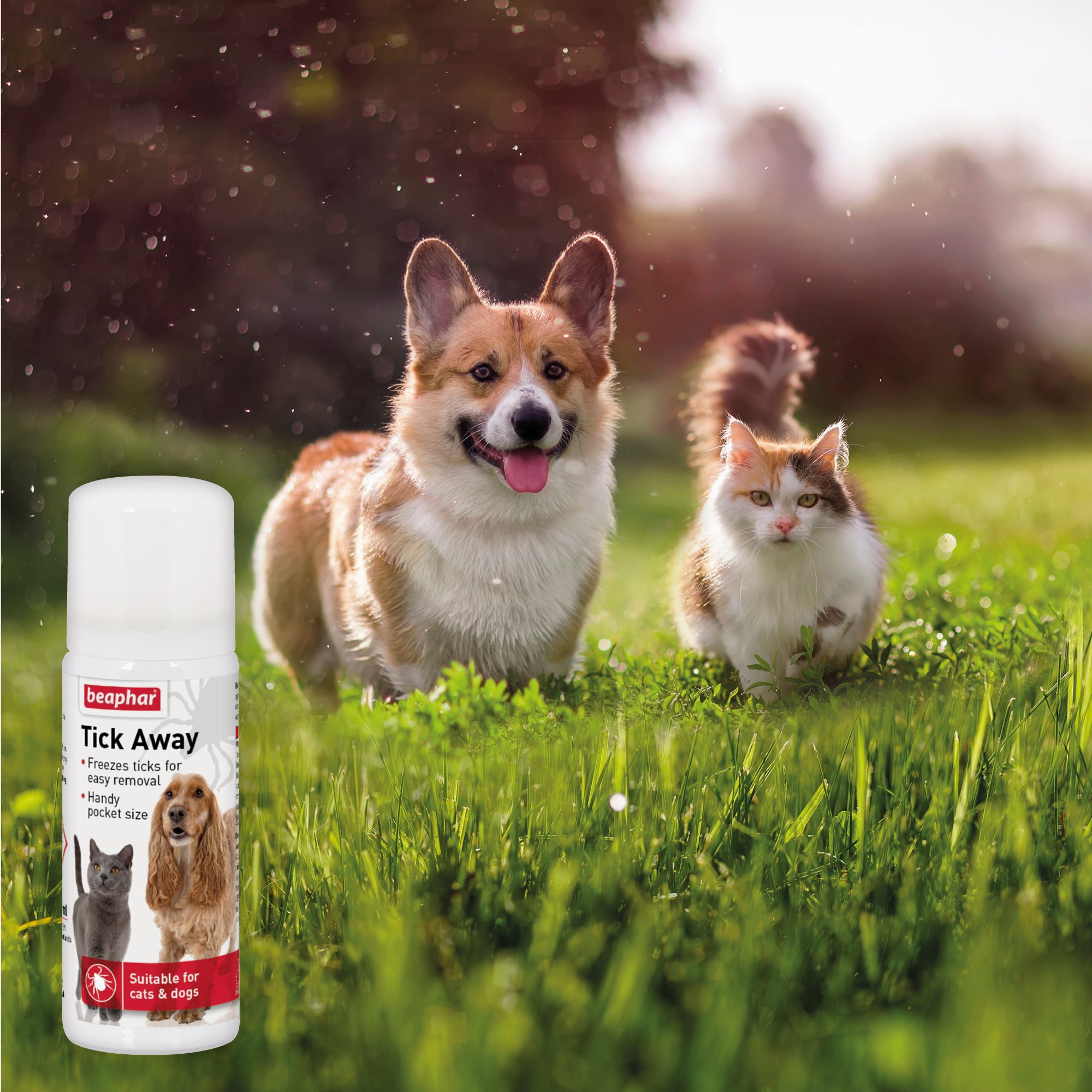 Beaphar Tick Away Freezing Insect Removal Spray Pet Connection petconnection.ie