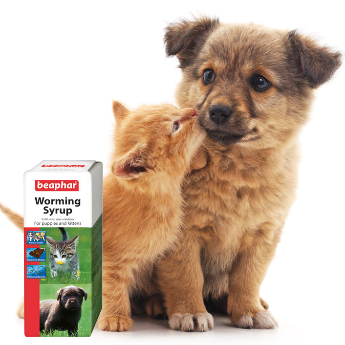 Beaphar | Puppy & Kitten Worm Control | Worming Syrup Oral Suspension