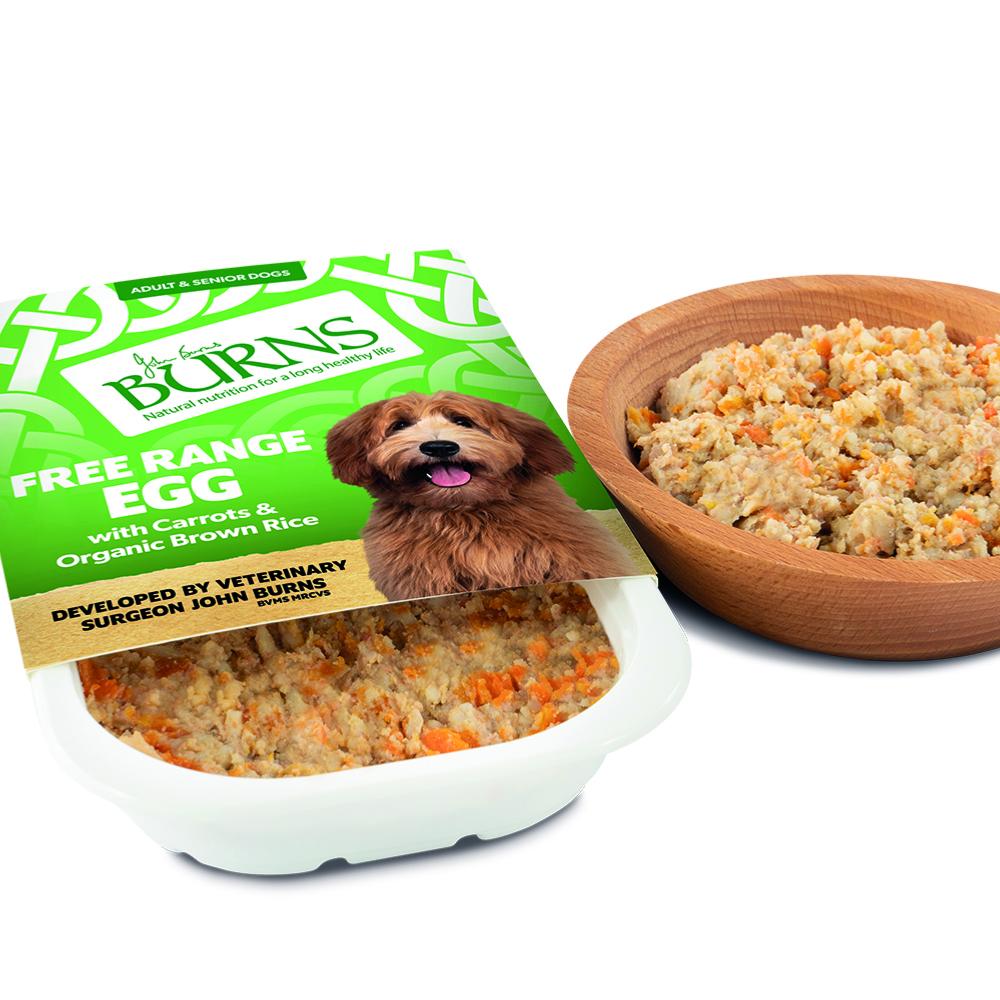 Burns wet dog food best sale