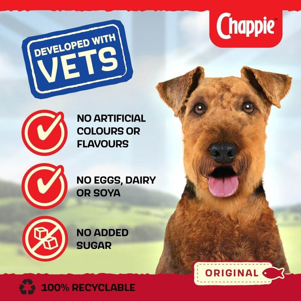 Chappie senior dog food best sale