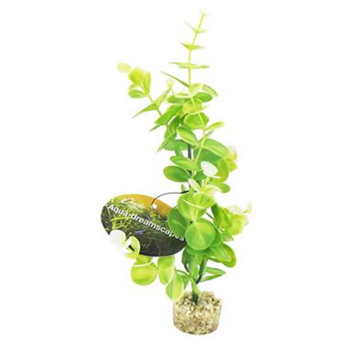 Cheeko Aqua Dreamscapes Aquatic Plant - Ocean Eucalyptus 22cm