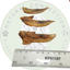 Chicken Wings | Bitesize Crunchy Dog Treat by Natural Connection