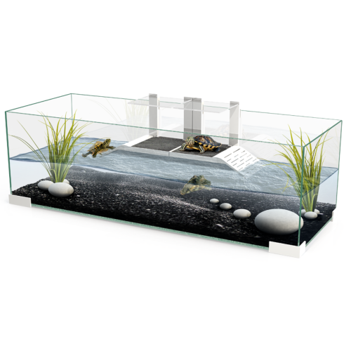 Ciano 60 Tartarium Turtle & Terrapin Glass Tank