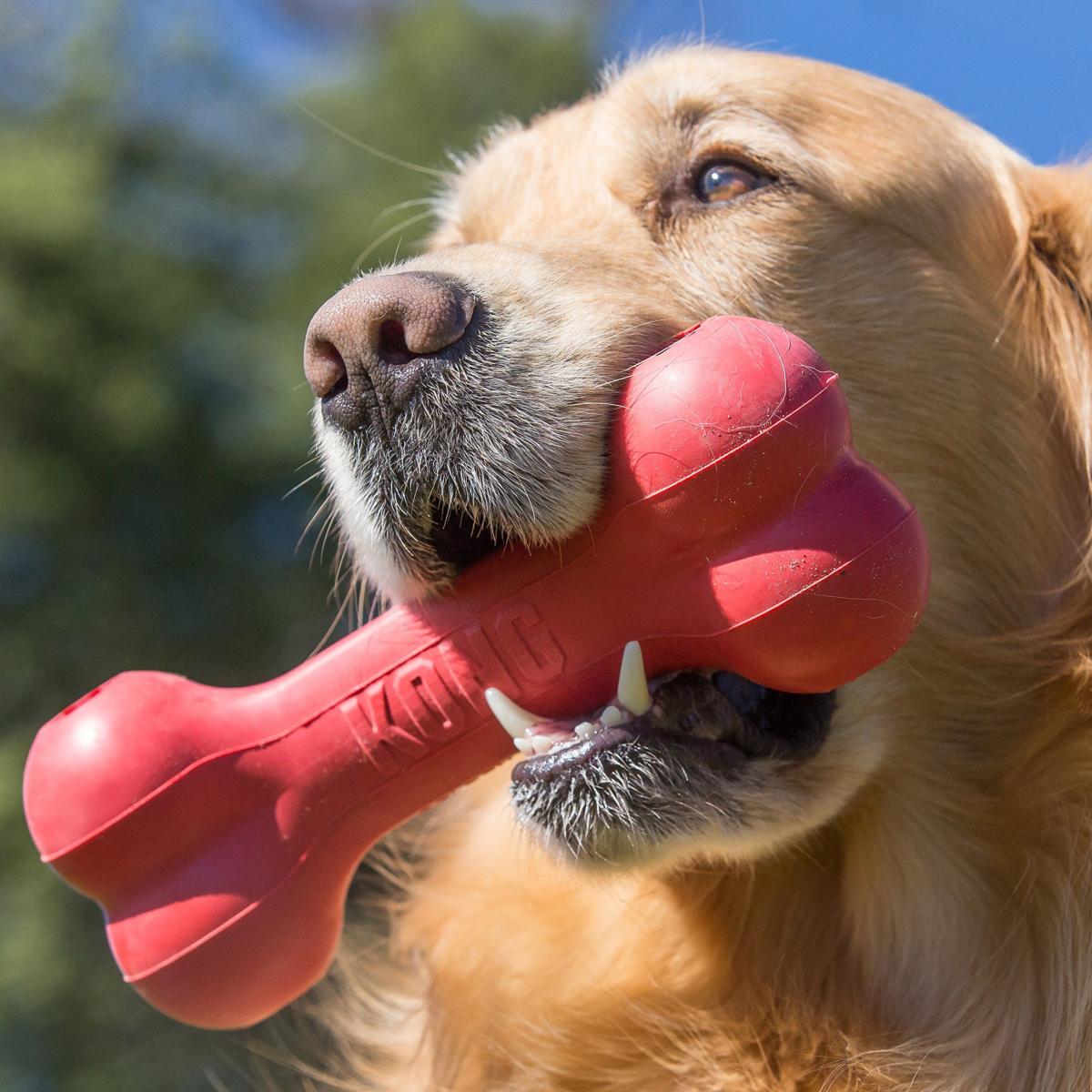 KONG Classic Goodie Bone Rubber Dog Chew Toy