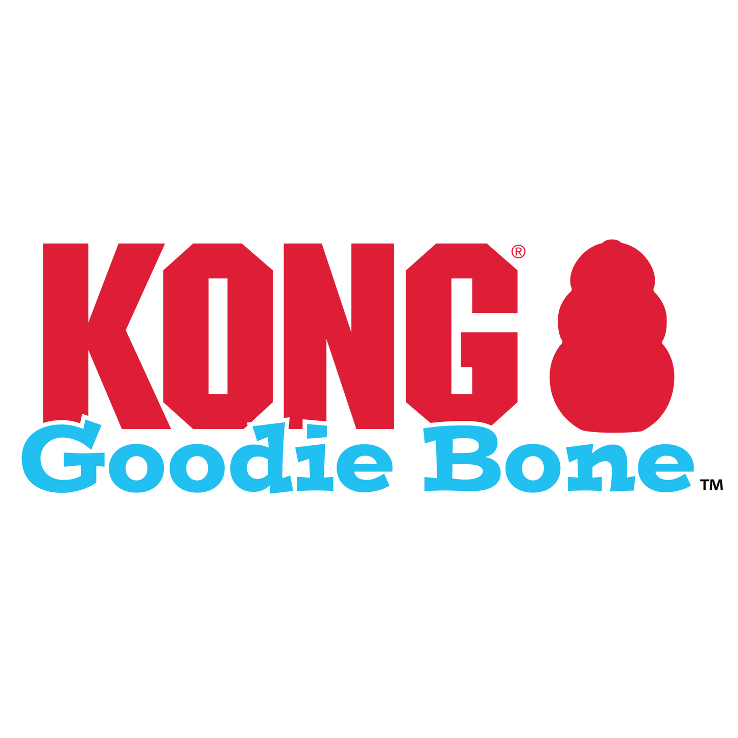 KONG | Puppy Goodie Bone | Dog Chew Toy for Teething Puppies