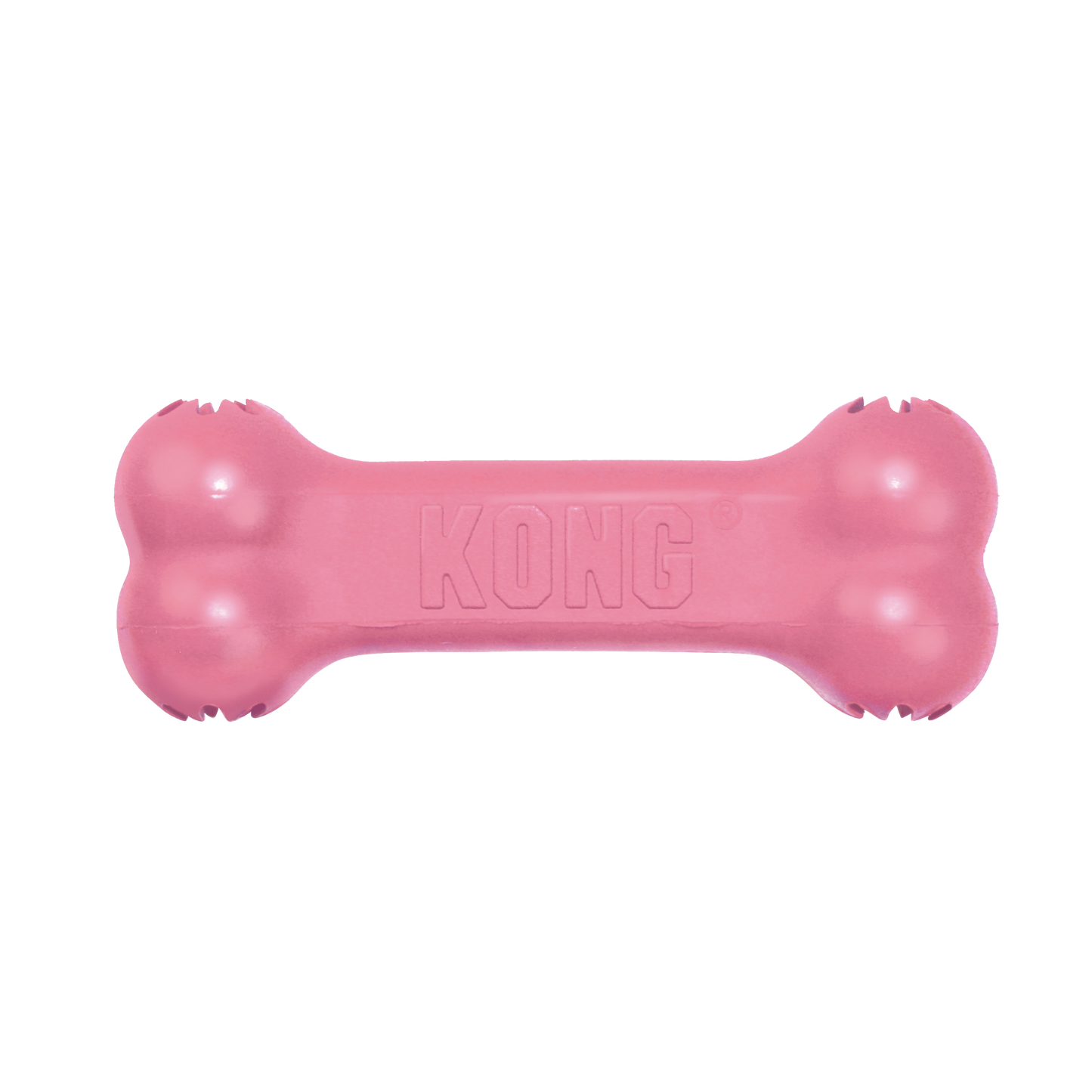 KONG | Puppy Goodie Bone | Dog Chew Toy for Teething Puppies