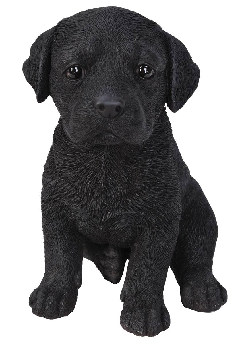 Vivid Arts Pet Pal Dogs Black Labrador Pup