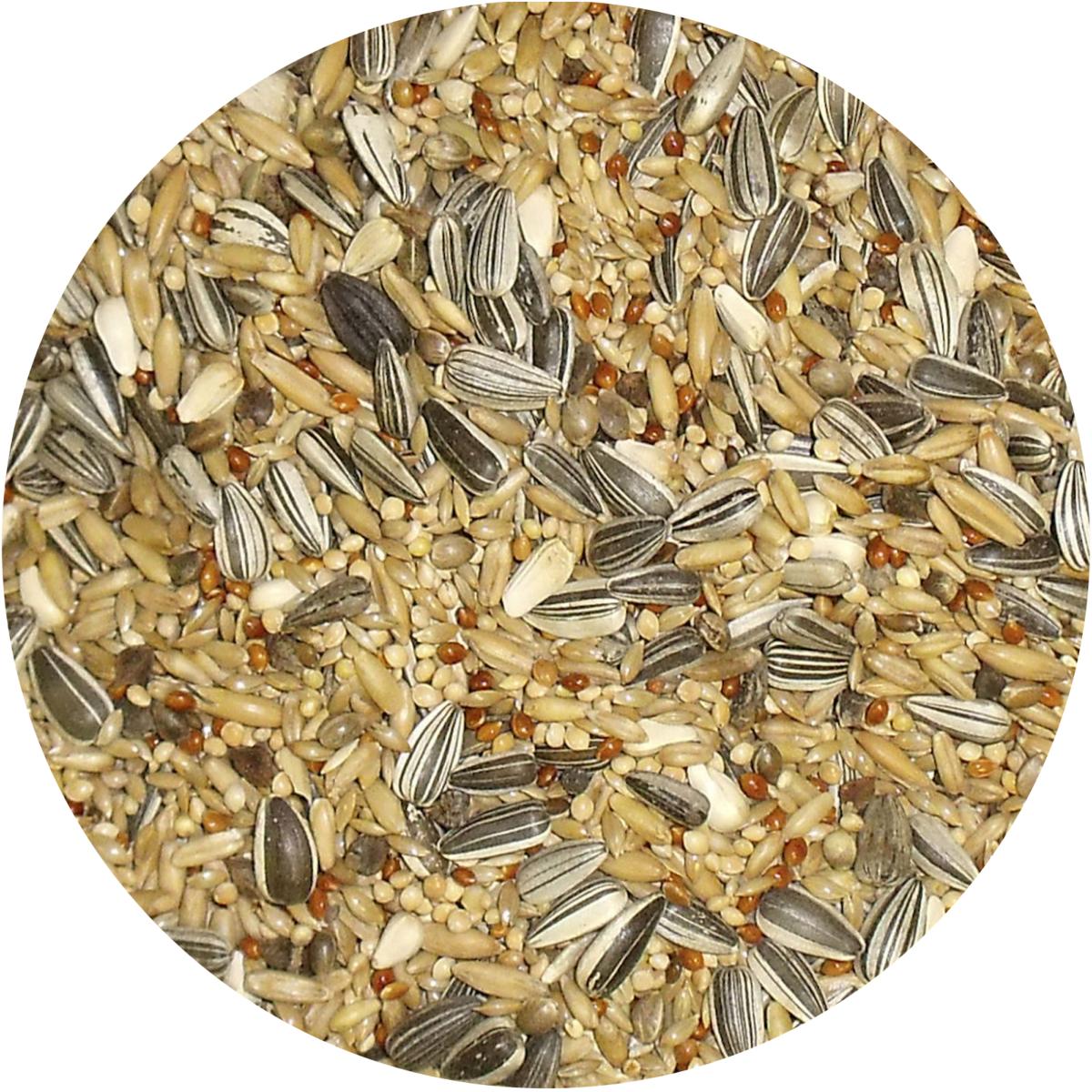 Bamfords Premium Parakeet & Cockatiel Seed Mix - 20kg | Pet Connection ...