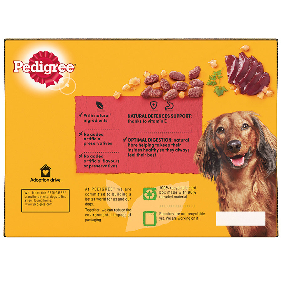 Pedigree | Senior Wet Dog Food Pouches | Variety In Jelly - 12 x 100g