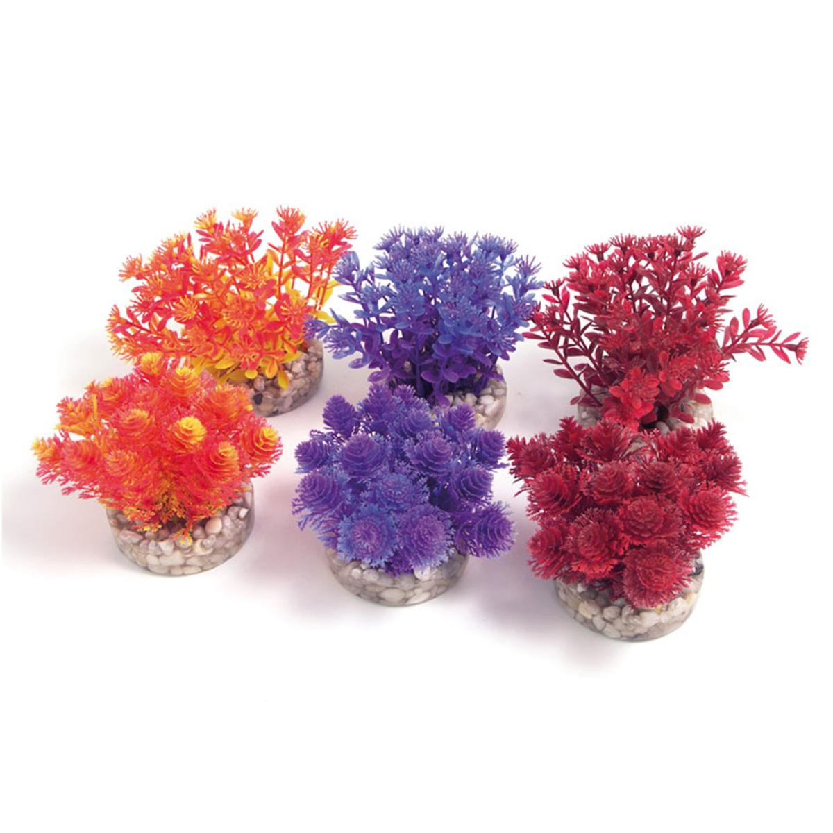 Rosewood Sydeco Assorted Coloured Aquaplant - Nano Bush