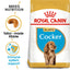 Royal Canin | Breed Health Nutrition | Dry Dog Food | Junior - 3kg