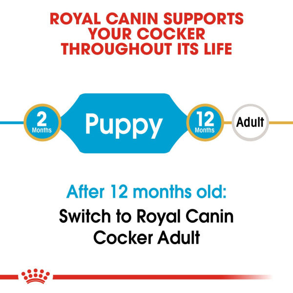 Royal Canin | Breed Health Nutrition | Dry Dog Food | Junior - 3kg