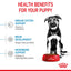 Royal Canin | Size Health Nutrition | Dry Dog Food | Large Breed | Maxi