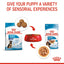 Royal Canin | Size Health Nutrition | Dry Dog Food | Large Breed | Maxi