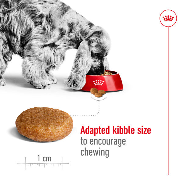 Royal Canin | Size Health Nutrition | Dry Dog Food | Medium Breed