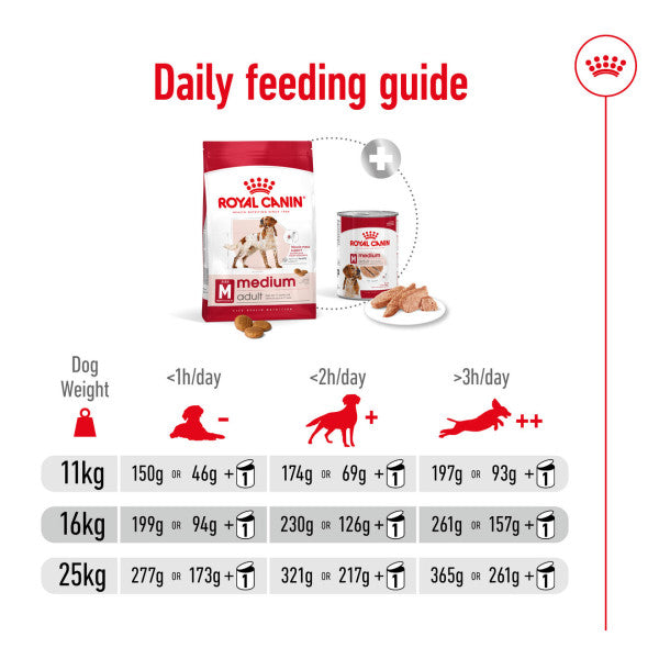 Royal Canin | Size Health Nutrition | Dry Dog Food | Medium Breed