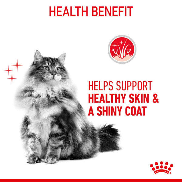 Royal Canin | Feline Health Nutrition | Dry Cat Food | Hair & Skin Care - 10kg