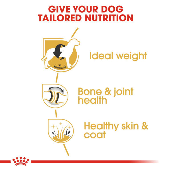 Royal Canin | Breed Health Nutrition | Dry Dog Food | Adult Labrador - 12kg