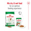 Royal Canin Mini Adult 8kg