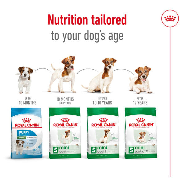 Mini adulte royal canin 8kg best sale