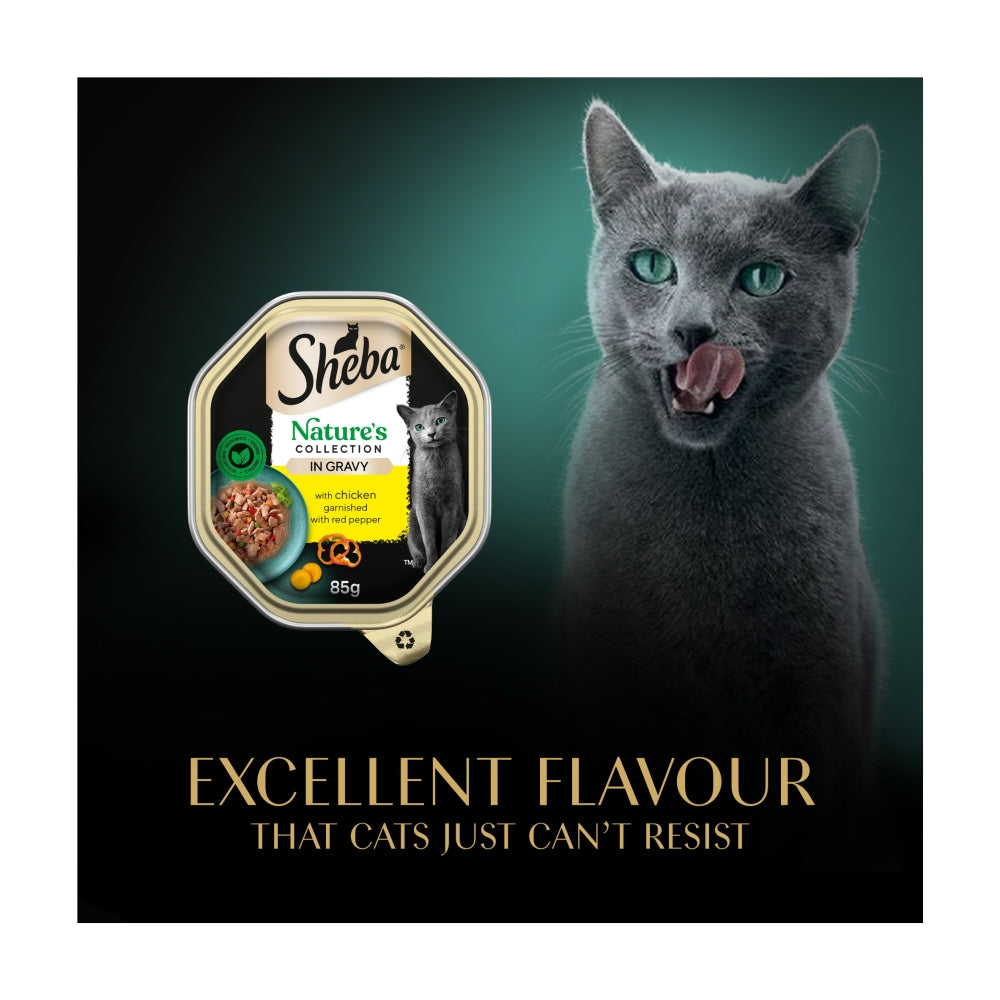 Sheba Cat Tray 85g Natures Collection Chicken & Red Pepper In Gravy