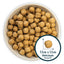 Burns Original | Holistic Gluten Free Dry Dog Food | Senior + | Chicken & Brown Rice - 2kg