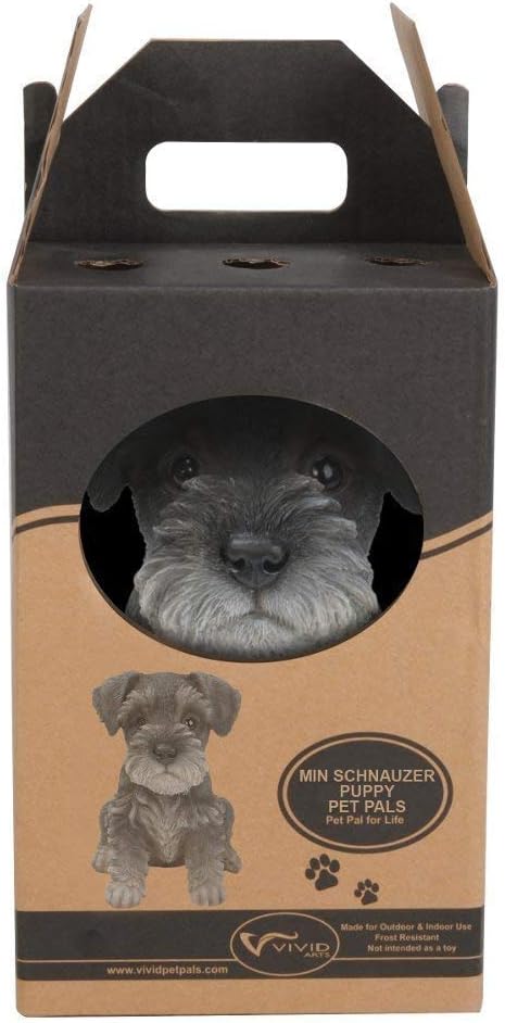 Vivid Arts Pet Pal Dogs Min Schnauzer Puppy