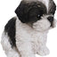 Vivid Arts Pet Pal Dogs ShihTzu Puppy Black & White