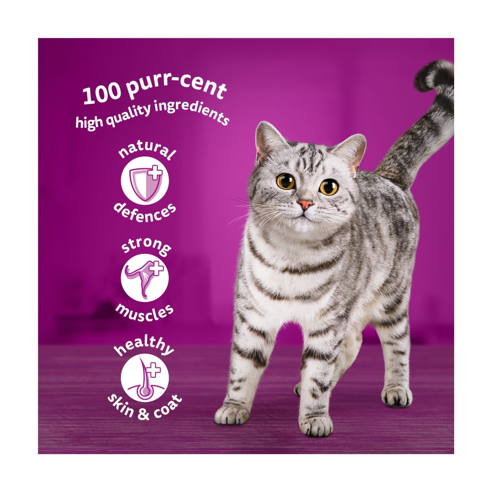 WHISKAS | Wet Cat Food Pouches Mixed Menu In Jelly - 12 x 85g