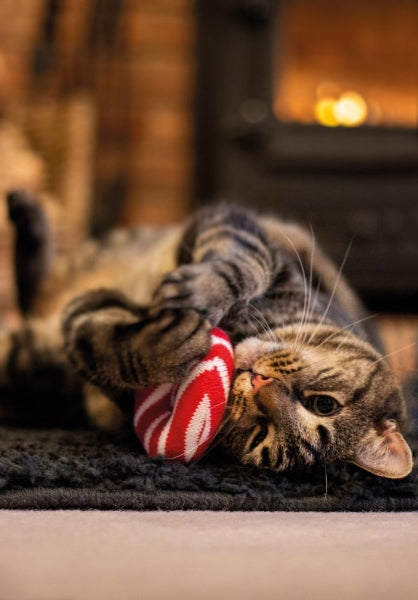 Festive Knitted Doughnut Selection | Christmas Cat Toy by Cupid & Comet