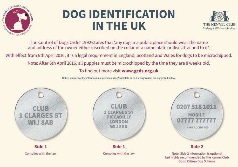 Trixie | Purple Metal ID Tube | Dog & Cat Identification Tag | Personalise at Home with Included Write On Contact Slip