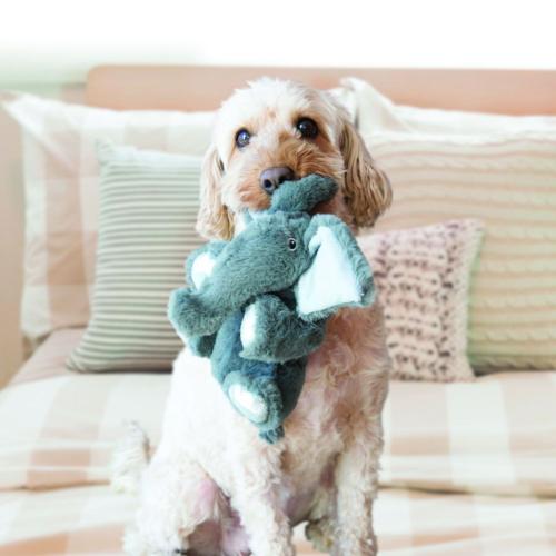 KONG Comfort Kiddos Elephant Dog Toy - Small - 16cm