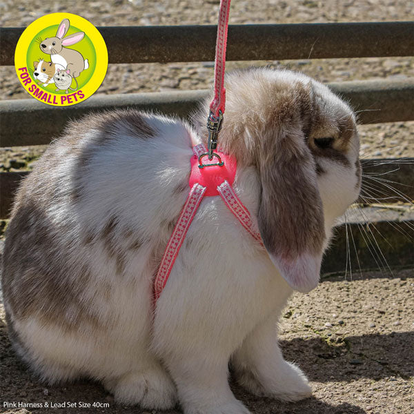 Ancol Rabbit Harness And Lead Set Pink Pet Connection petconnection.ie