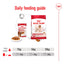 Royal Canin | Size Health Nutrition Wet Dog Food | Medium Adult - 140g