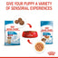 Royal Canin | Size Health Nutrition Wet Dog Food | Medium Puppy - 140g